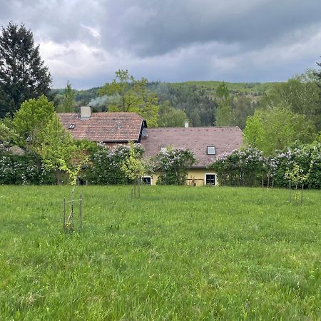 Brettwies Bed&Breakfast Im Gruenen Nah An Wien מראה חיצוני תמונה