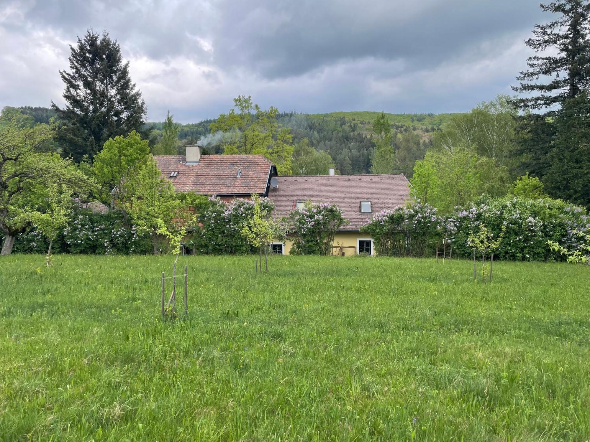 Brettwies Bed&Breakfast Im Gruenen Nah An Wien מראה חיצוני תמונה